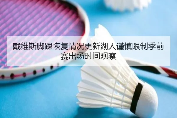 戴维斯脚踝恢复情况更新湖人谨慎限制季前赛出场时间观察